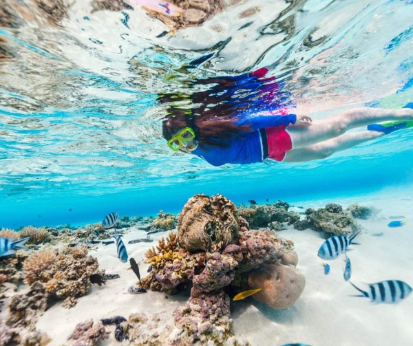 Actividades motorizadas y deportes acuáticos